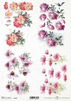 R2249 Rice Paper A4 ITD