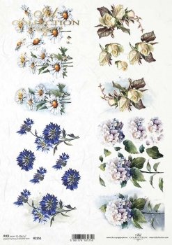 R2251 Rice Paper A4 ITD