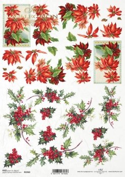 R2260 Rice Paper A4 ITD