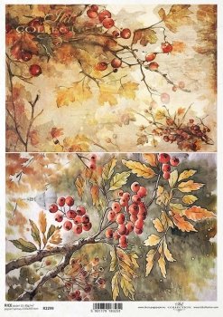 R2299 Rice Paper A4 ITD
