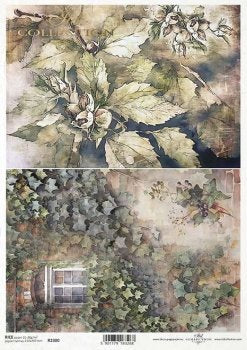 R2300 Rice Paper A4 ITD