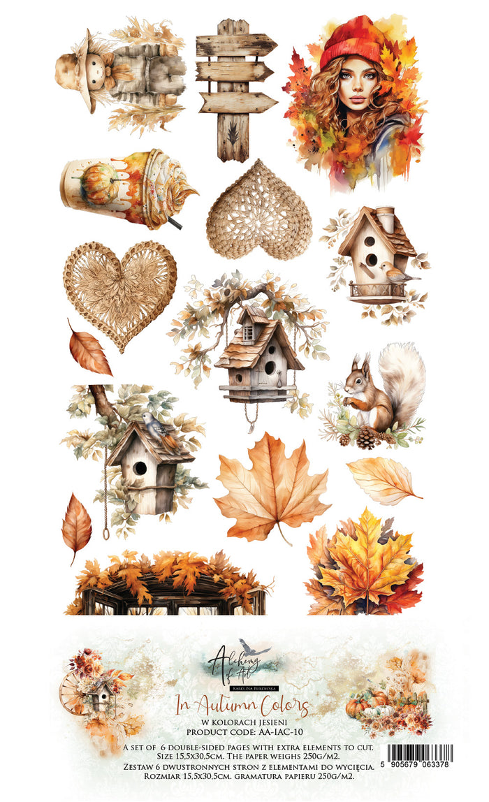 In Autumn Colors Extras 6 x 12 Set/6