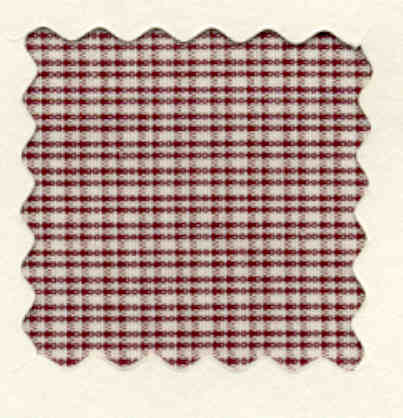 C4-19 Pima Cotton