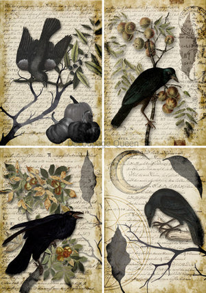 DQRP-0627 Rice Paper A4 Grimoire 4 Pack