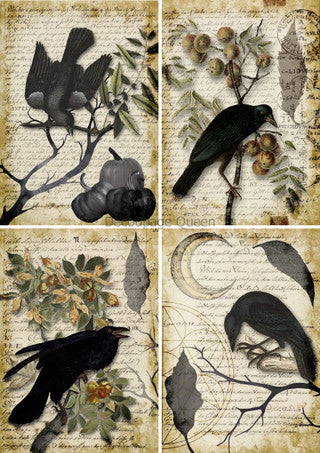 DQRP-0627 Rice Paper A4 Grimoire 4 Pack