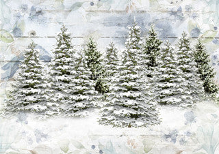 DQVP-0517 Vellum A4 Woodland Trees