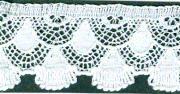 L354 English Cotton 1" Price per yard Champagne