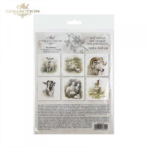 RSM107 Rice Paper Mini Set/6