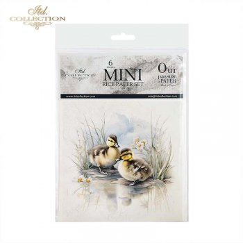 RSM110 Rice Paper Mini Set/6