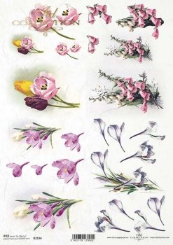 R2194 Rice Paper A4 ITD