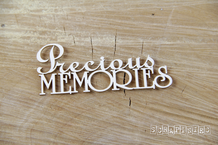 3750 Decorative Chips 7.5x3.5cm Sentiments Precious Memories