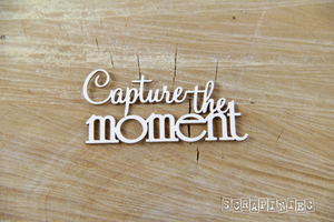 3751 Decorative Chips 6x3cm Sentiments Capture The Moment