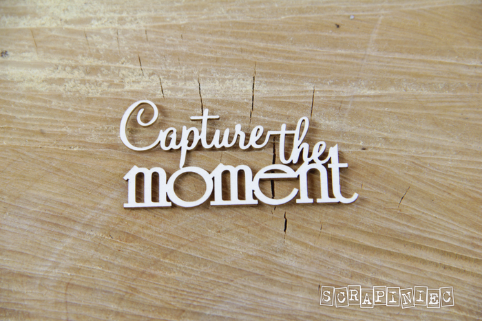 3751 Decorative Chips 6x3cm Sentiments Capture The Moment