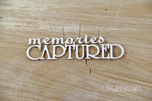 3752 Decorative Chips 8x2.5cm Sentiments Memories Captured