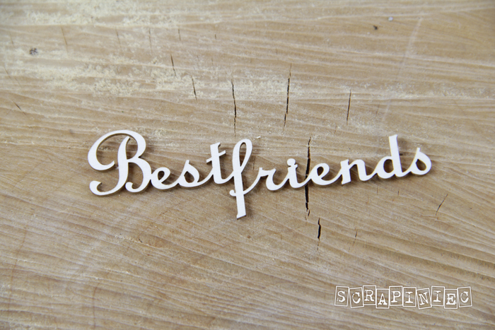 3756 Decorative Chips 8.5x3cm Sentiments Best Friends
