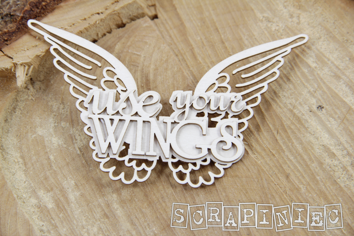 3827 Decorative Chips 5.5x9.5cm Sentiments Use Your Wings 02