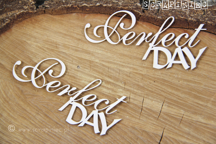 4895 Decorative Chips 9x4cm Perfect Day Sentiments
