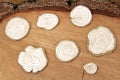 5216 Decorative Chips 9.5x9.5cm Magic Fall Wooden Chips