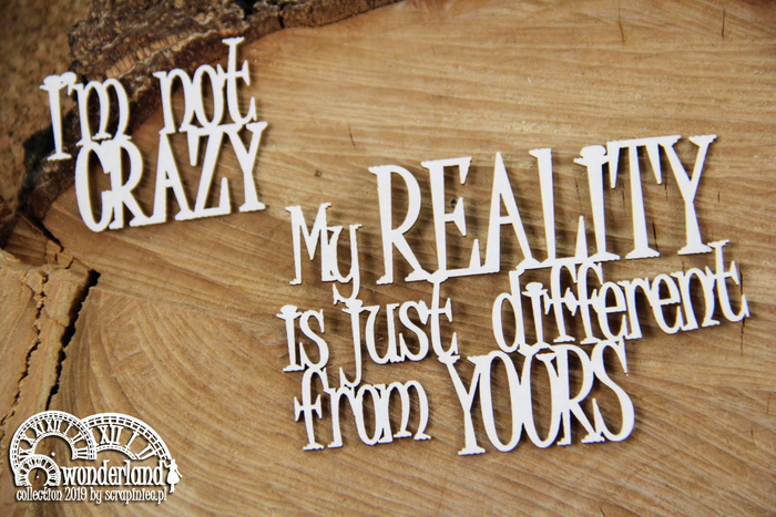5391  Decorative Chips 9.5x9.5cm Wonderland I'm Not Crazy