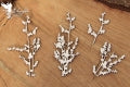 5661  Decorative Chips Vulnerable Branches 01
