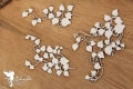 5666  Decorative Chips Vulnerable Branches 06