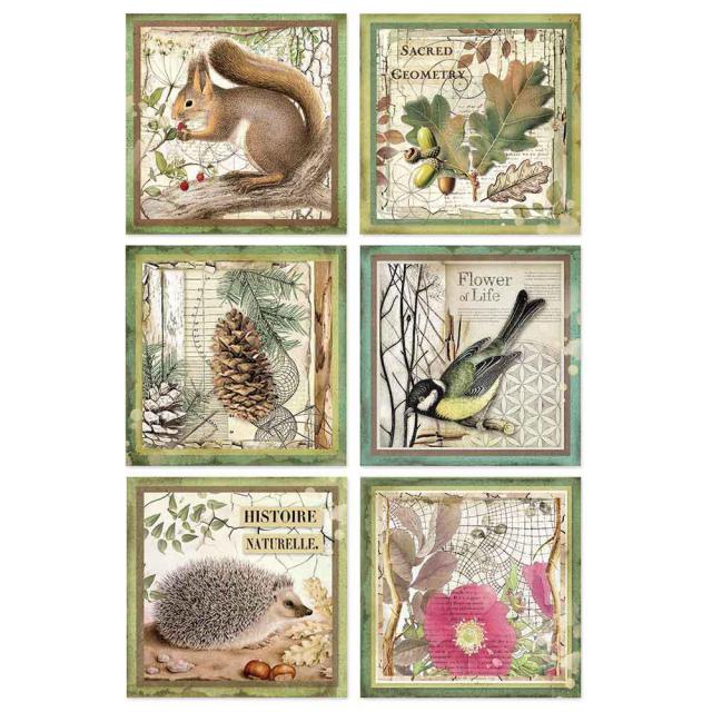 DFSA4425 Rice Paper A4 Forest Framed Animals