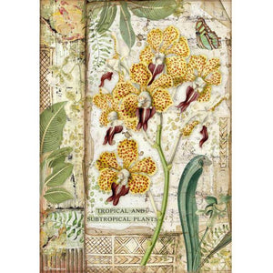 DFSA4532 Rice Paper A4 Amazonia Orchid