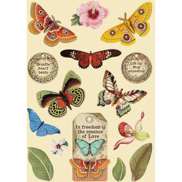 KLSP093 Wooden Frame A5 Amazonia Butterfly