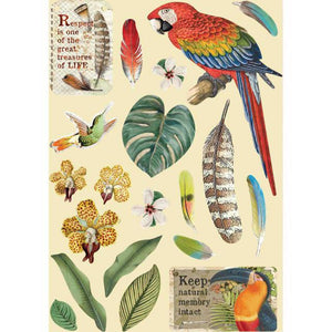 KLSP095 Wooden Frame A5 Amazonia Parrot