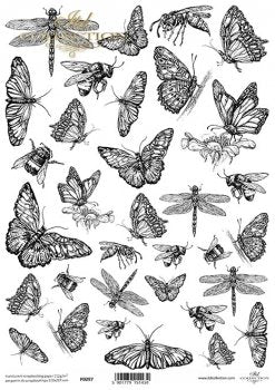 P0097 Vellum A4 ITD