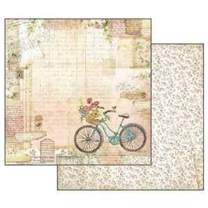 SBB555 Double Sided Single Sheet Garden Bicycle
