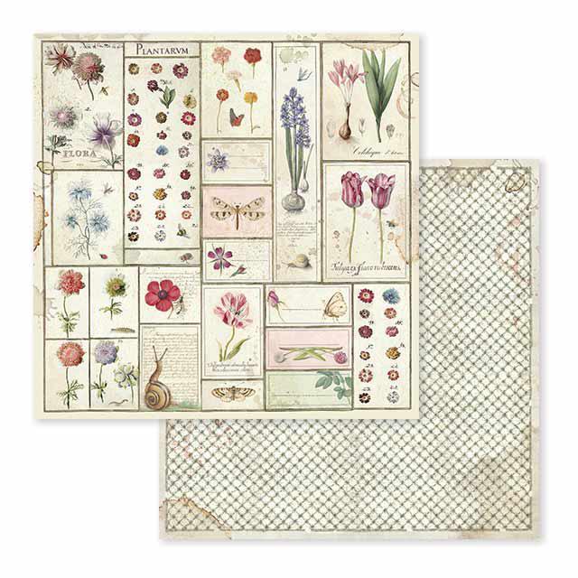 SBB589 Double Sided Single Sheet Spring Botanic Herbarium