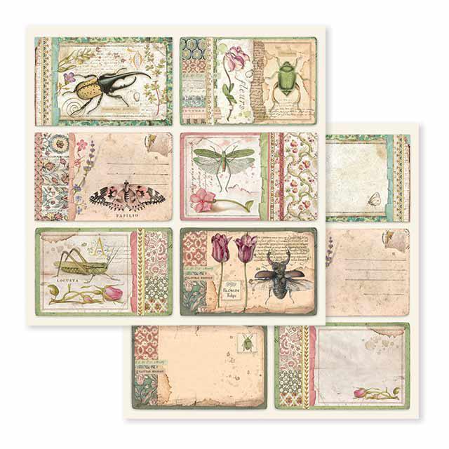 SBB590 Double Sided Single Sheet Spring Botanic Cards