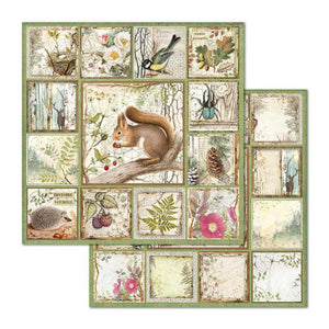 SBB655 Double Sided Single Sheet Framed Forest Squirrel