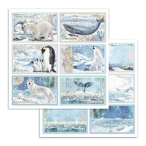 SBB732 Double Sided Single Sheet Cards