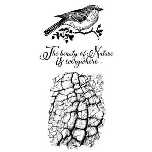 WTKCCR02 HD Natural Rubber Stamp 10x16.5 Cosmos Bird